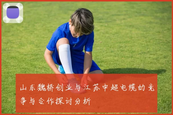 山东魏桥创业与江苏中超电缆的竞争与合作探讨分析