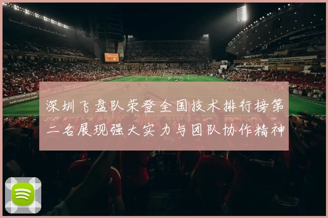 深圳飞盘队荣登全国技术排行榜第二名展现强大实力与团队协作精神