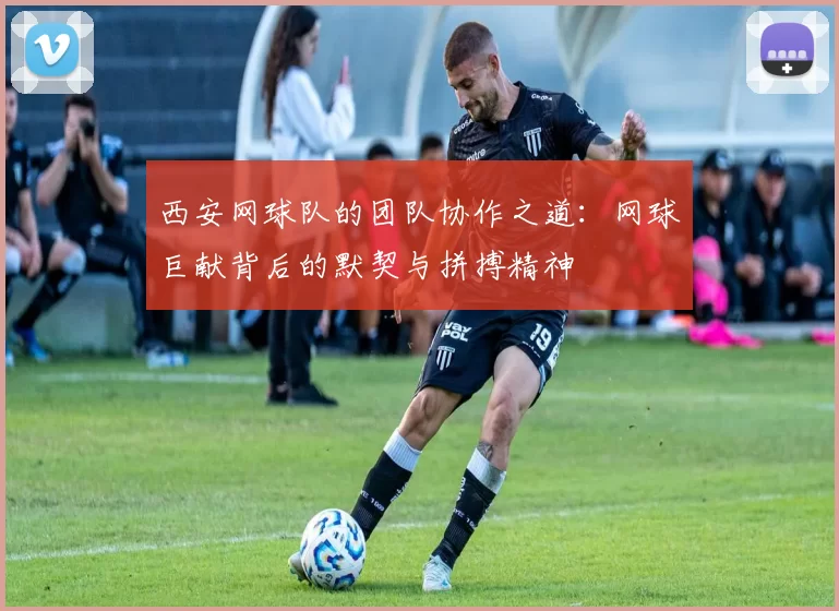 西安网球队的团队协作之道：网球巨献背后的默契与拼搏精神