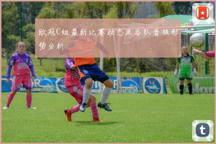 欧冠C组最新比赛动态及各队晋级形势分析