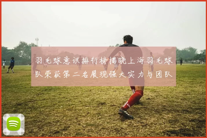 羽毛球意识排行榜揭晓上海羽毛球队荣获第二名展现强大实力与团队合作