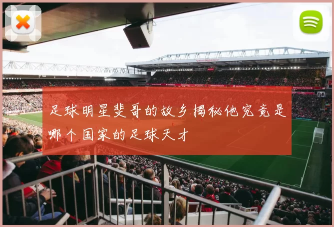 足球明星斐哥的故乡揭秘他究竟是哪个国家的足球天才