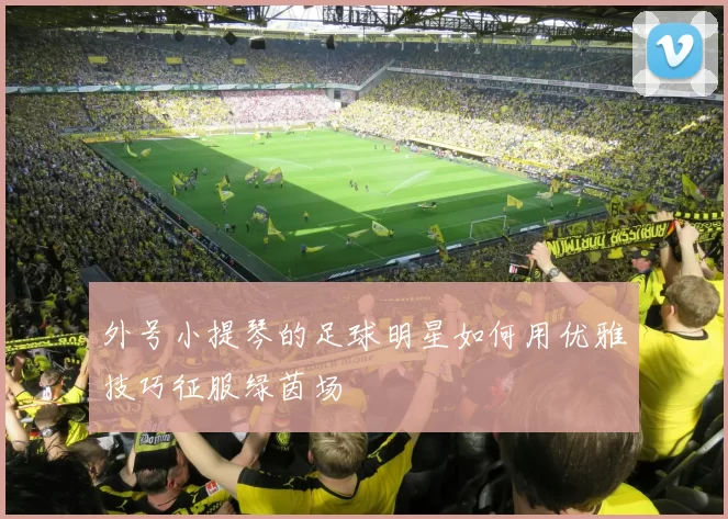 外号小提琴的足球明星如何用优雅技巧征服绿茵场