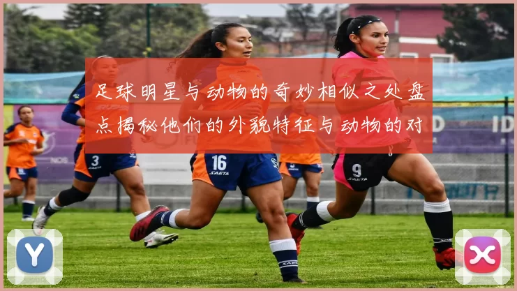 足球明星与动物的奇妙相似之处盘点揭秘他们的外貌特征与动物的对比