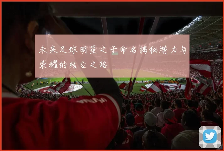 未来足球明星之子命名揭秘潜力与荣耀的结合之路