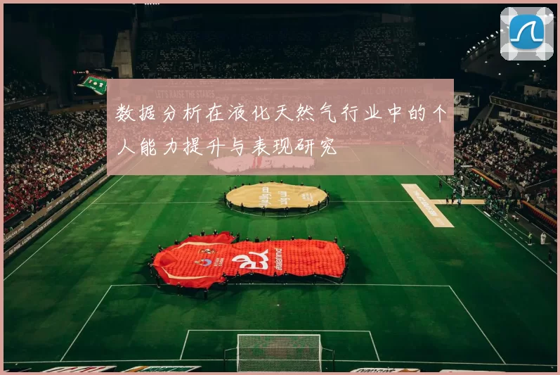 数据分析在液化天然气行业中的个人能力提升与表现研究