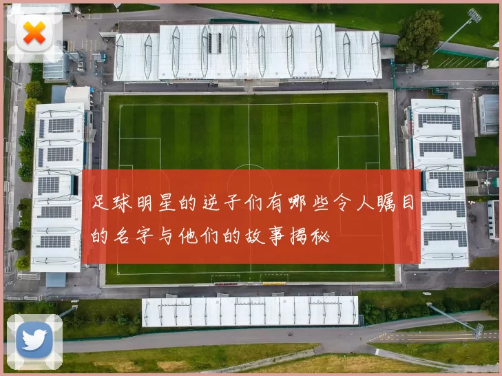足球明星的逆子们有哪些令人瞩目的名字与他们的故事揭秘