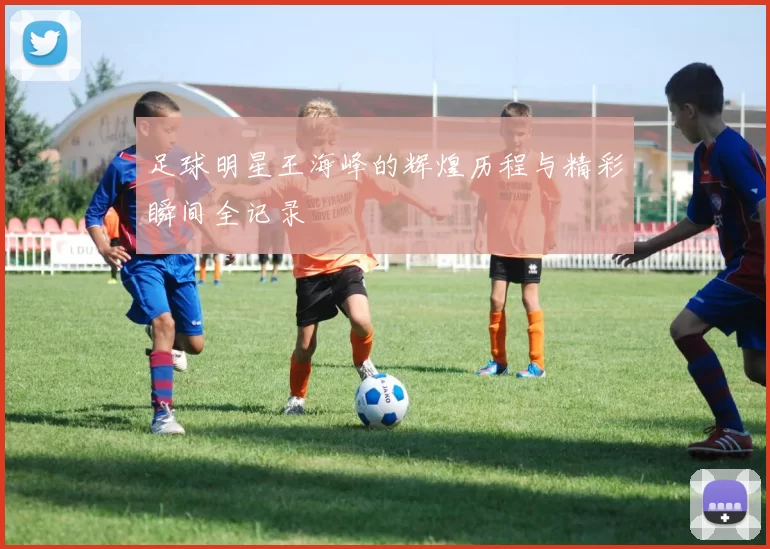 足球明星王海峰的辉煌历程与精彩瞬间全记录