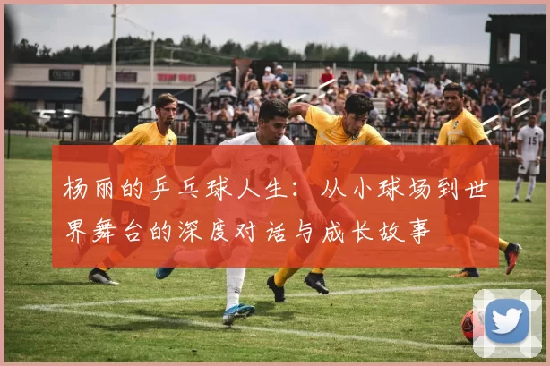 杨丽的乒乓球人生：从小球场到世界舞台的深度对话与成长故事