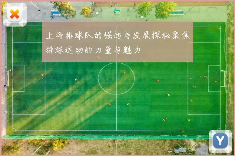 上海排球队的崛起与发展探秘聚焦排球运动的力量与魅力