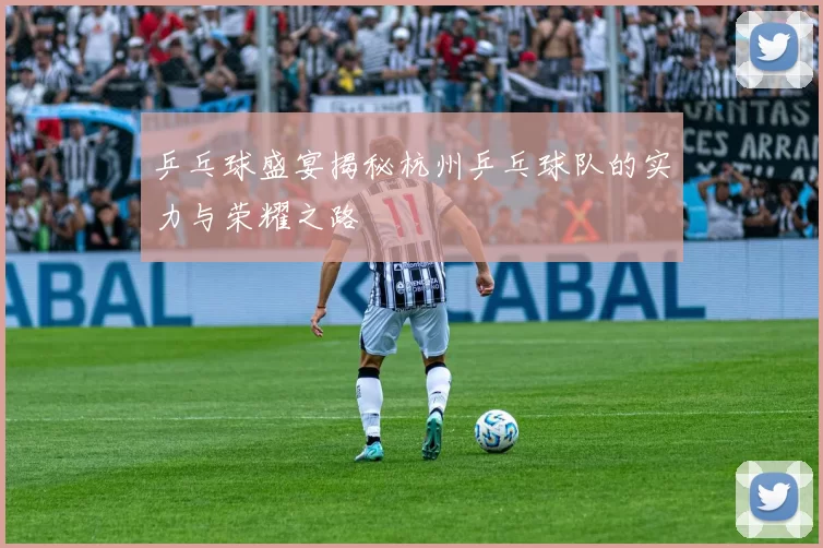乒乓球盛宴揭秘杭州乒乓球队的实力与荣耀之路