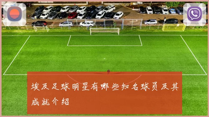 埃及足球明星有哪些知名球员及其成就介绍