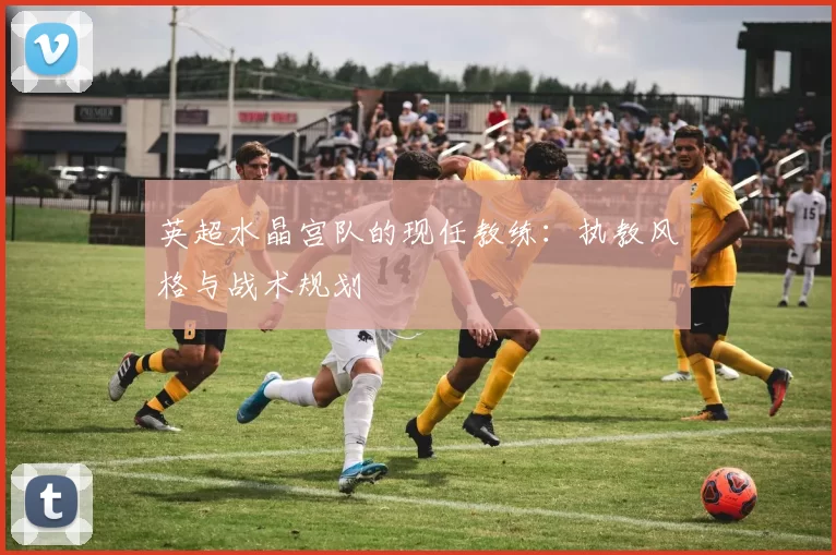 英超水晶宫队的现任教练：执教风格与战术规划