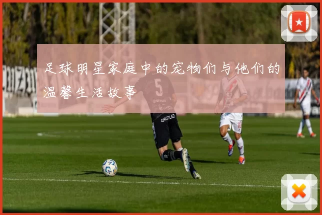 足球明星家庭中的宠物们与他们的温馨生活故事