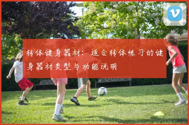 转体健身器材：适合转体练习的健身器材类型与功能说明