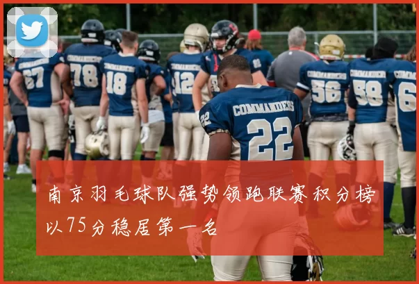 南京羽毛球队强势领跑联赛积分榜以75分稳居第一名