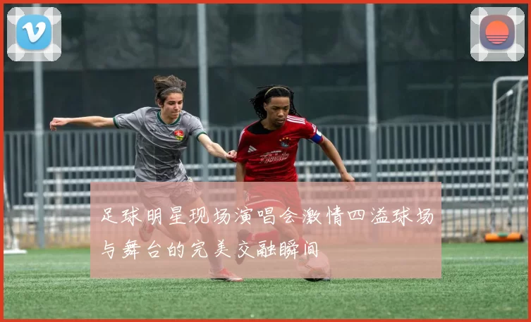 足球明星现场演唱会激情四溢球场与舞台的完美交融瞬间