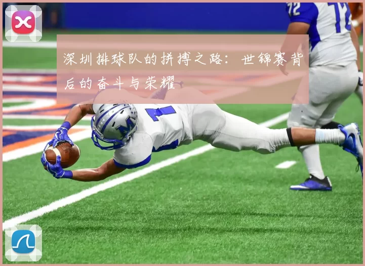 深圳排球队的拼搏之路：世锦赛背后的奋斗与荣耀