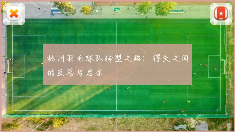 杭州羽毛球队转型之路：得失之间的反思与启示