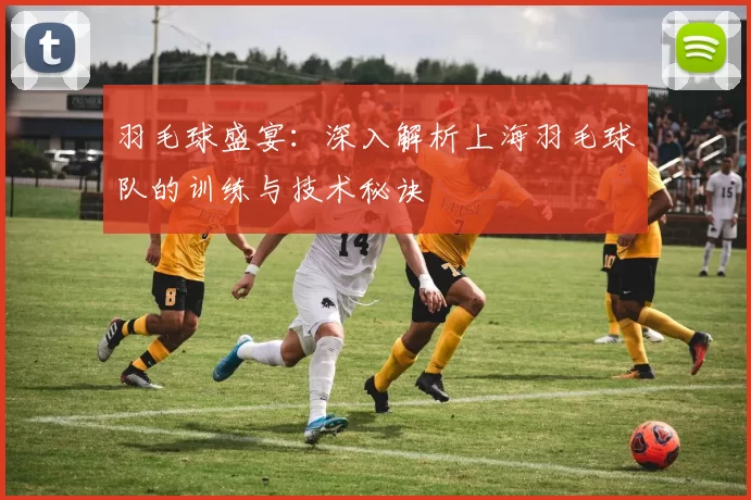 羽毛球盛宴：深入解析上海羽毛球队的训练与技术秘诀