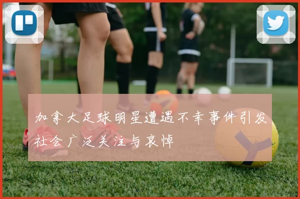 加拿大足球明星遭遇不幸事件引发社会广泛关注与哀悼