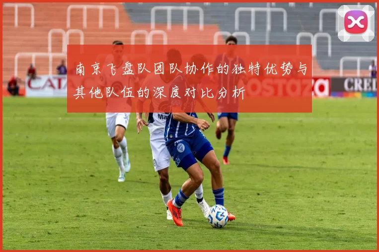 南京飞盘队团队协作的独特优势与其他队伍的深度对比分析