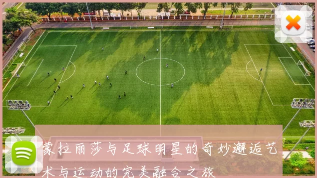 蒙拉丽莎与足球明星的奇妙邂逅艺术与运动的完美融合之旅