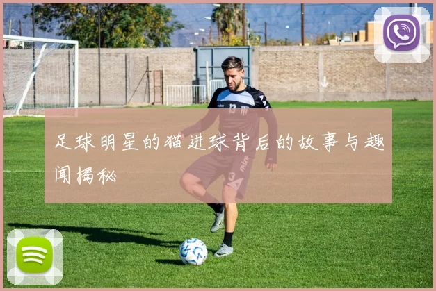 足球明星的猫进球背后的故事与趣闻揭秘