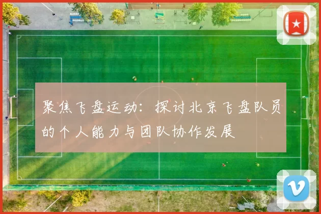 聚焦飞盘运动：探讨北京飞盘队员的个人能力与团队协作发展