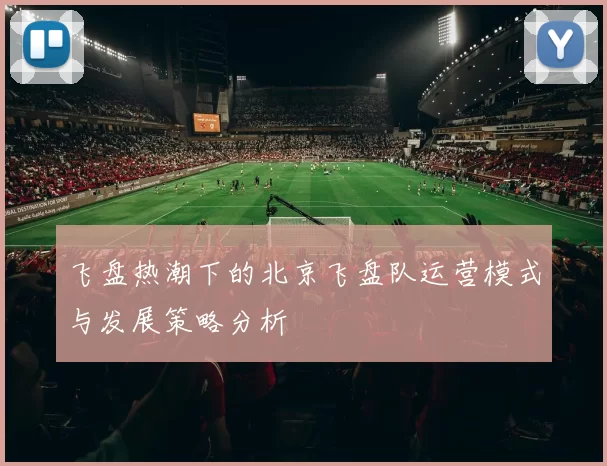 飞盘热潮下的北京飞盘队运营模式与发展策略分析