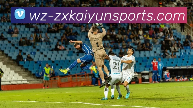 开云体育平台生态图