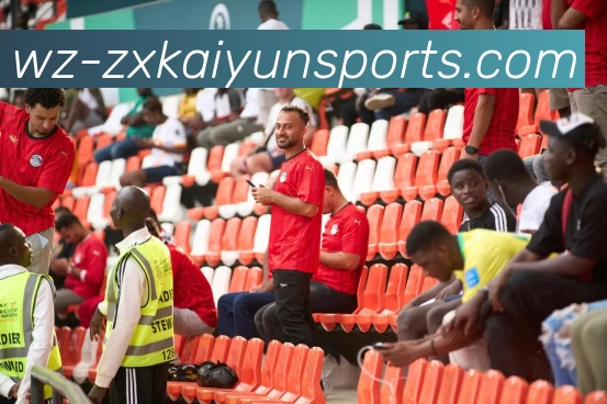 开云体育APP 封面图